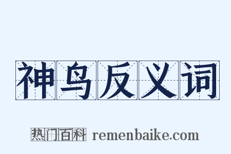 神鸟反义词是什么意思的图片